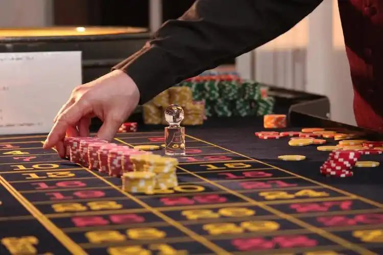 mvp44 Live Casino